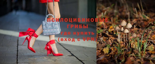 Альфа ПВП Алексин